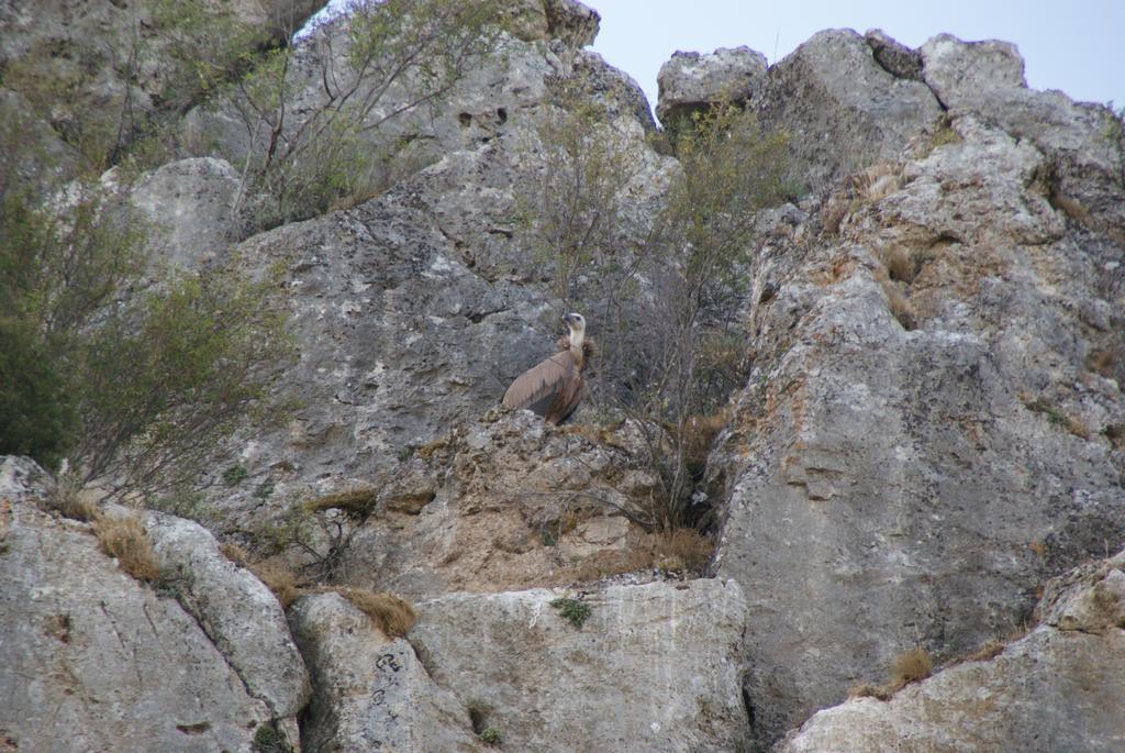 Dulce Encanto Del Valle Valle de Tabladillo ภายนอก รูปภาพ