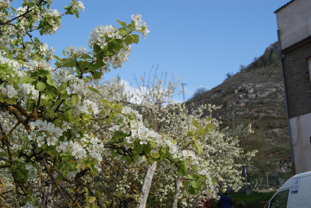 Dulce Encanto Del Valle Valle de Tabladillo ภายนอก รูปภาพ